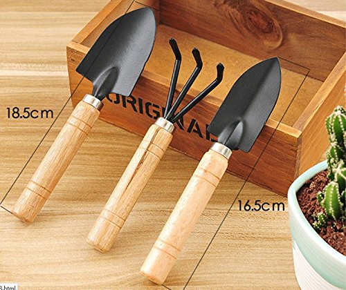 Mini Garten Werkzeugset TaiYaun 3er Set Garten Mini-Werkzeugset von drei, Schaufeln, Kellen und Rechen 3pcs Mini Garden Tools - 3