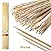 Produktbild Jumbo-Sticks, 70 cm lange XL Bambus-Spieße – naturrein, keine Rückstände, weiche & glatte Holzstäbe für Lagerfeuer (110 Stk.)Ideal fürs Camping, Lagerfeuer, Grill, Barbecue oder den Garten.