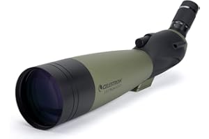 Celestron 52252 100 mm Ultima Cannocchiale 45°, Grigio