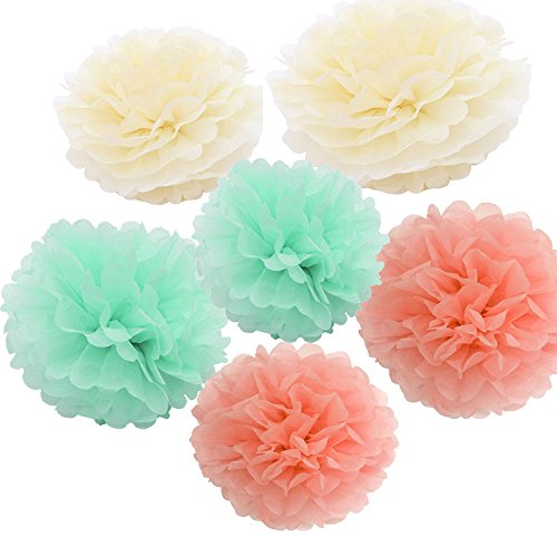 Daily Mall 18pcs cm 25cm Diy Pom Poms Crafts Tissue Paper Flowers Multi Colors Christmas Wedding Party Room Decor Pom Pom Flowers Handmade Decoration Cream Mint Peach Buy Online In Bosnia And Herzegovina