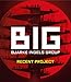 Big Bjarke Engels Group - Recent Project by