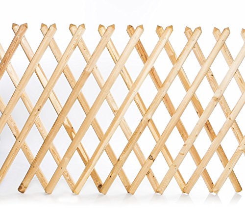 Preisvergleich Produktbild Jägerzaun Lärche 80 x 250 cm