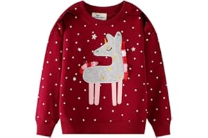 LITBUD Pull Fille Vêtements pour Filles Enfants Sweatshirt Sportswear Licorne Jumper Pullover Atomne Hiver Taille 1-7 Ans