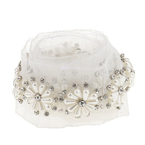 MagiDeal Perlen Borte Spitzenborte Spitzenband Besatz Kleidung Nähen Hochzeit Deko DIY - Farbe 3, 97cm
