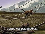  Status aus dem Weniger