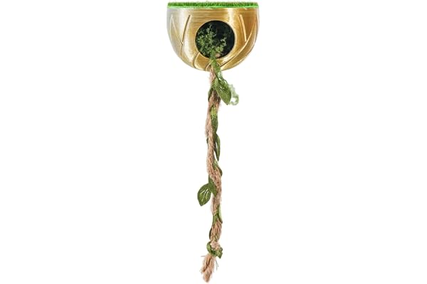 Accessoires d'Habitat pour Araignées Sauteuses - Ornement Magnétique Pour Terrarium De Reptiles | Grotte de Repos pour Araignées Sauteuses,Pour Jeu Escalade Repos Foraging Terrarium Aquarium Enclos Pa
