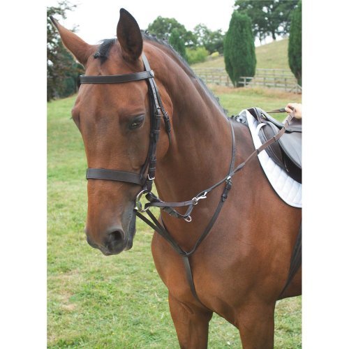 Preisvergleich Produktbild Shires German Martingale by Shires