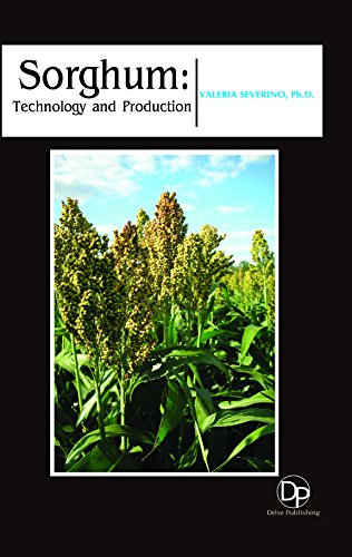 Sorghum en ligne Sorghum en ligne