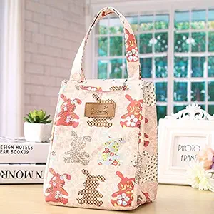 Max Home Thermal Portable Insulated Cooler Oxford Cloth Multicolour Lunch Bag