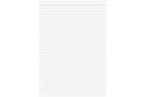 BRUNNEN Wkłady do segregatora A4 100 kartek w linie biały