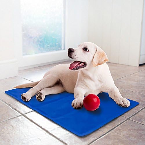 Dog Cat Pet cooler Cooling Cool Gel Mat Bed Pad 60 x 44cm Blue By Kool Dog