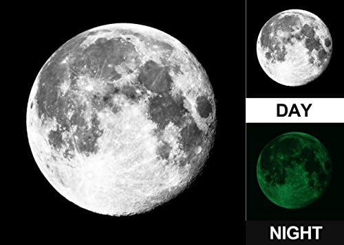 Photonic Wallart, Glow in the Dark, canvas wall art Black and white, the moon, mural, category universe, (40 cm x 40 cm) 15.75 x 15.75 inch