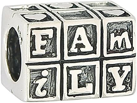 Family 925 Sterling Silver Charms European Beads for Snake Chain Bracelets