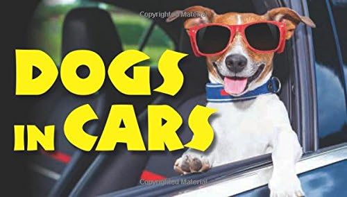 Dogs in Cars