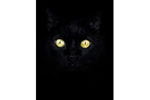 Black Paper Sketch Book: A Large Sketch Book For Use With Gel Pens | Reverse Color Sketchbook With Black Pages | Cat Sketchbook (Black Paper Journals & Sketchbooks | Gel Pen Paper)