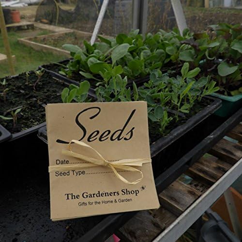 The Gardeners Shop UK Printed Seed Storage Envelopes - Brown Manilla Gummed Envelopes for Vegetable and Flower Seed Storage (Pack of 10)