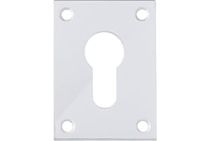 BARY Polished Stainless Steel Flat Plate Screw On Escutcheon Euro - Keyway - Blank (Euro)