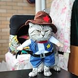 conjunto de chaqueta y sombrero de mezclilla, el disfraz divertido hará que su gato o perro pequeño se vea tan lindo y adorable.