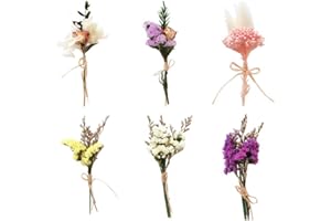 DKDXID 6 Piezas Mini Ramos de Flores Secas Manualidades Flores Preservadas Naturales Ramilletes Flores Secas Decoracion Flores Secas Pequeñas Hojas Secas Mixtas Flores Prensadas para DIY Artesanías