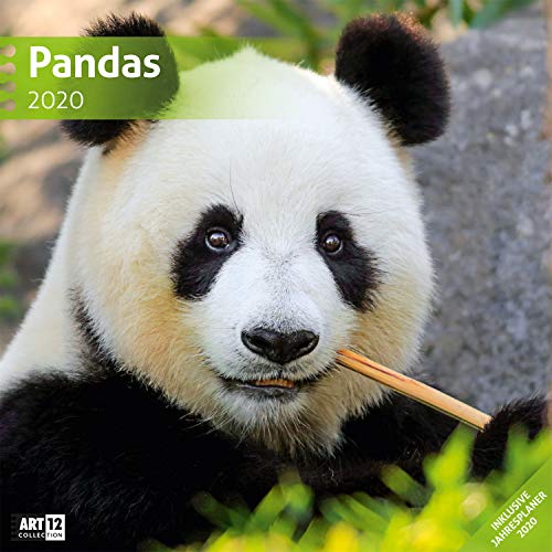 Télécharger Pandas 2020, Wandkalender / Broschürenkalender im Hochformat (aufgeklappt 30x60 cm) - Geschenk-Kale Livre eBook France