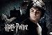 Harry Potter Broschur XL 2008 by 