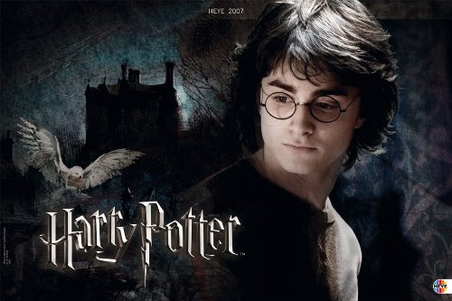 Harry Potter Broschur XL 2008