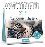 Image de Katzenweisheiten 2019: Postkartenkalender