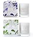 Produktbild Duftkerzen im Glas 2er Set Jasmin & Lavendel 100% Sojawachs Kerzen Windlichter Geschenk je 230g 55Std