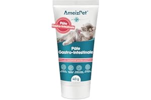 AmeizPet Pâte Gastro Intestinale pour Chats, Soutien Gastro Intestinal pour la Santé Intestinale et la Flore Intestinale, Complément Digestif pour Chats et Chatons, 40g (1.4 Oz)
