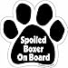 Imagine This Paw Car Magnet, Spoiled Boxer on Board, 5-1/2-Inch by 5-1/2-Inch