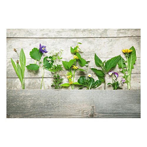 BilderweltenGlass Splashback - Medicinal And Wild Herbs - Landscape 2:3, Backsplash Cooker Splashback Protector Panel Decorative, Dimension HxW: 40cm x 60cm