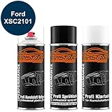 Ideal geeignet, um alle Kunststoffoberflächen und Kunststoffteile wie Stoßstange, Spoiler, Schürzen, Schweller, Seitenleisten, Türgriffe oder Kühlergrill zu lackieren.