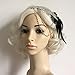 FENICAL Retro Feather Headpiece Flapper Chain Flower Hairband Great Gatsby Headband 1920s for Fancy Dress Party Dress-up Accessories