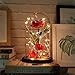 Price comparison product image KOBWA Beauty and the Beast Enchanted Rose, Elegant Glass Dome with LED Lights Pine Base, Magic Gifts Home Decor for Holiday Party Wedding Anniversary