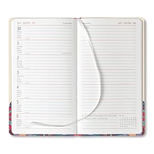 Ladytimer Slim Bird 2015 - Taschenplaner / Taschenkalender (9 x 16) - Weekly - 128 Seiten