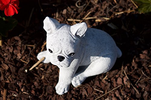 Steinfigur französische Bulldogge Dogge Hund, Frost- und Wetterfest, handgearbeitet - 4