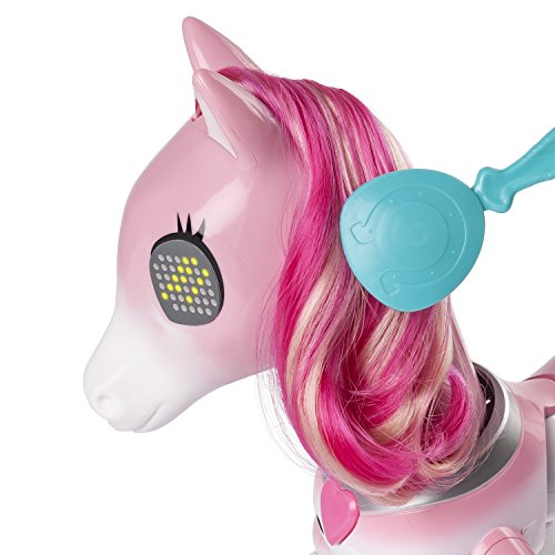 51crXImS2EL Zoomer - 6036997 - Pony