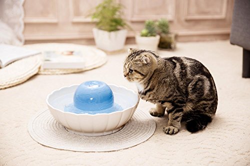 ZCQ-Automatic-Electric-2L-Ceramic-Pet-Water-Fountain-Dog-Cat-Drinking-Bowl