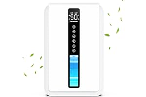 JERVAMNI Déshumidificateur Électrique Silencieux à Basse Consommation, 2500ml Déshumidificateur avec Arrêt et Dégivrage Automatique, 3 Niveaux, Minuterie 48h, Lumières Couleurs, Contre Humidité et Moisissures