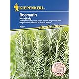 Kiepenkerl 3260 Rosmarin, mehrjährig (Rosmarinsamen)