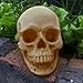 Produktbild FENICAL Bucky Skelett menschlicher Schädel lebensgroß Halloween Requisiten Halloween-Dekorationen