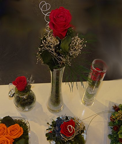 Rosen-te-amo 1 Liebes-Geschenkset, eine echte konservierte Rose in rot, mindestens 3 Jahre ohne Wasser haltbar, dazu eine - 4