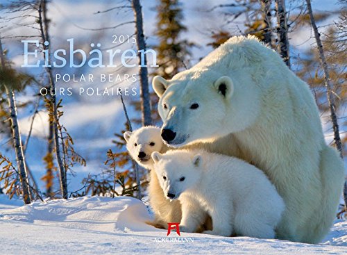 Eisbären 2015