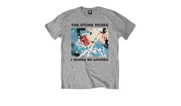 Shirt I Wanna Be Adored Mens Grey Tee 