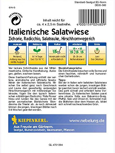 Salat Italienische Salatwiese Saatband - 2