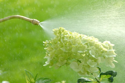 Gloria Drucksprüher Drucksprühgerät 5Liter Prima5 39TE, gelb - 2