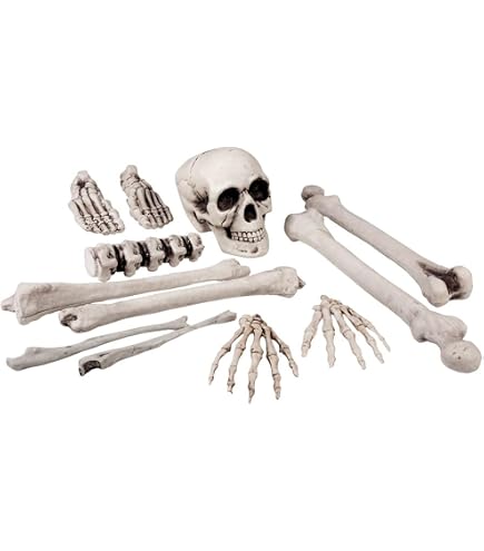 Amscan Halloween Becher, 8 Stück, 266 Ml, Mit Totenkopf-Motiv, Aus Papier
