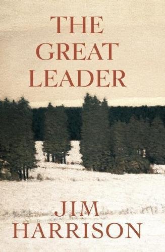 couverture de : Great leader : A Faux mystery
