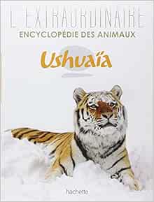 Amazon Fr L Extraordinaire Encyclopedie Ushuaia Des Animaux Collectif Livres