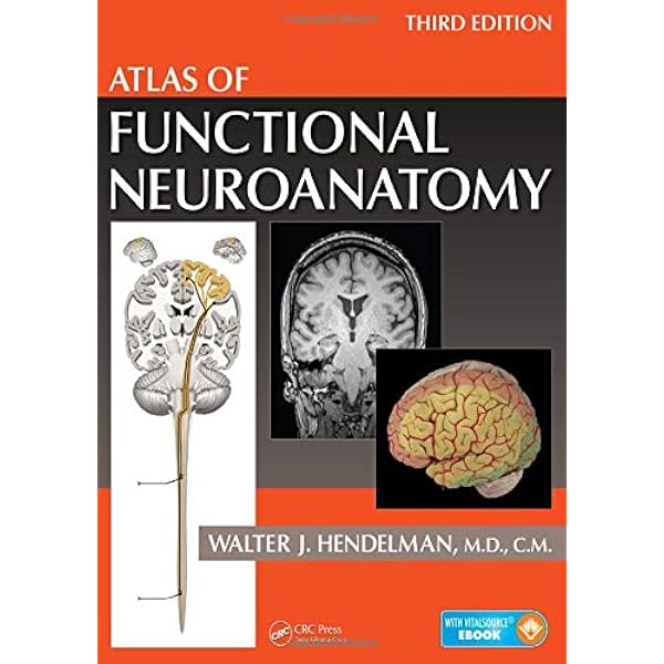 Buy Atlas of Human Brain Connections Book Online at Low Prices in Buy Atlas of Human Brain Connections Book Online at Low Prices in